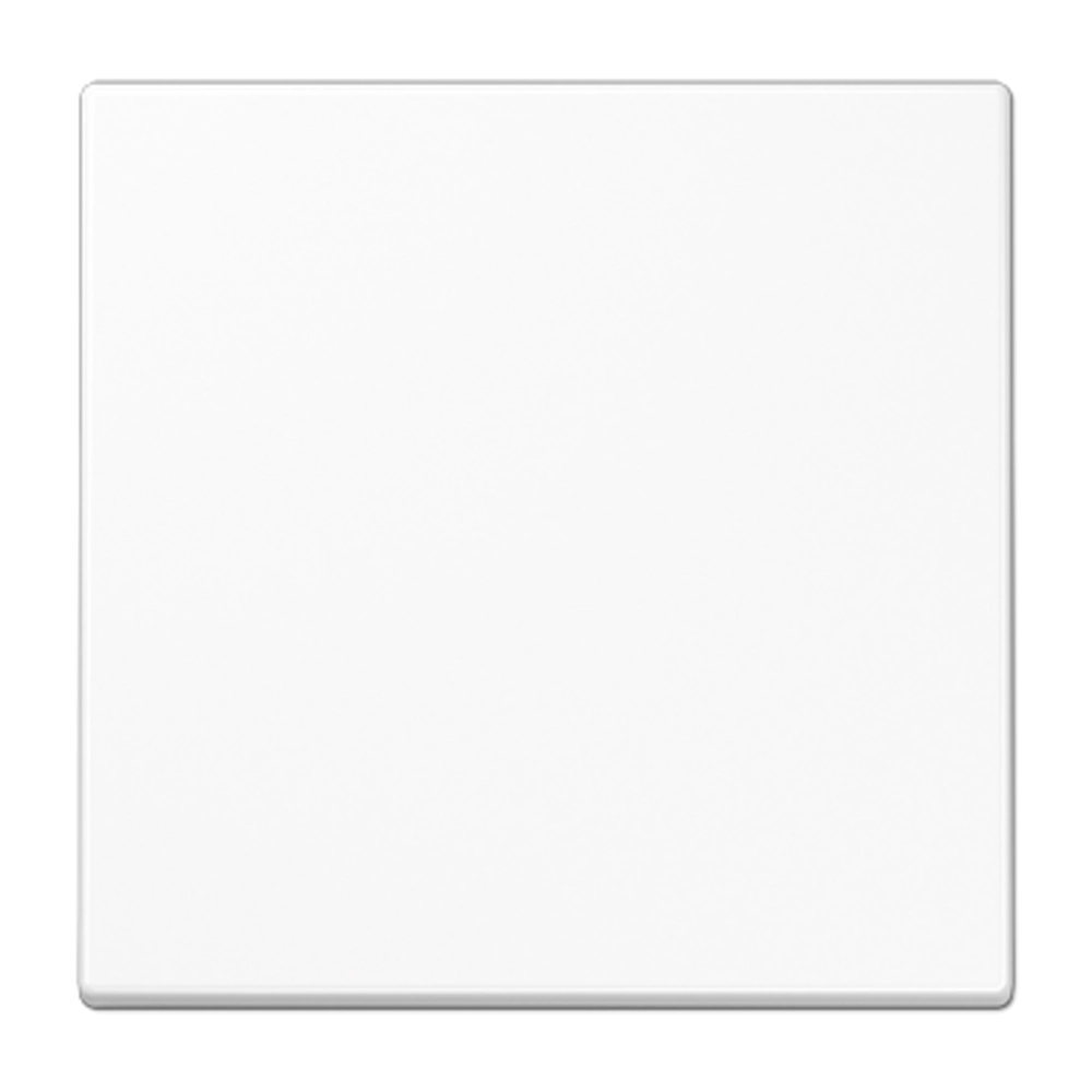JUNG LS WHITE PUSH SWITCH